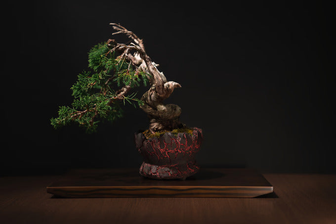 Original Product - O pot – Narrative Platform