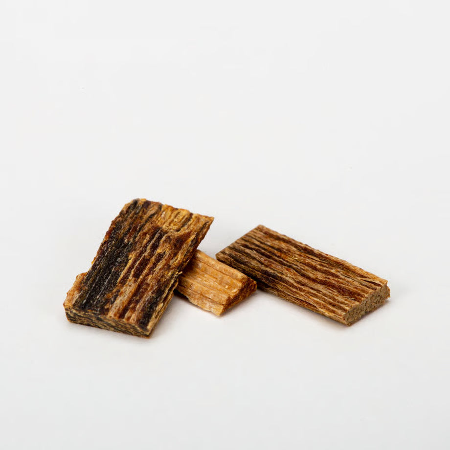 KIKU2