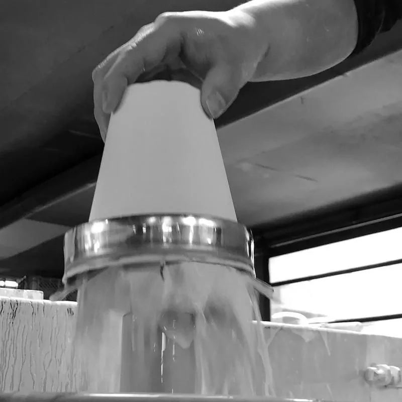 Ume & Sakura Cup Set of 2, Paulownia Box, White Porcelain