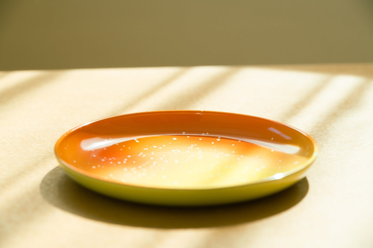 iroikoi ５．０丸 皿 鶴仙渓