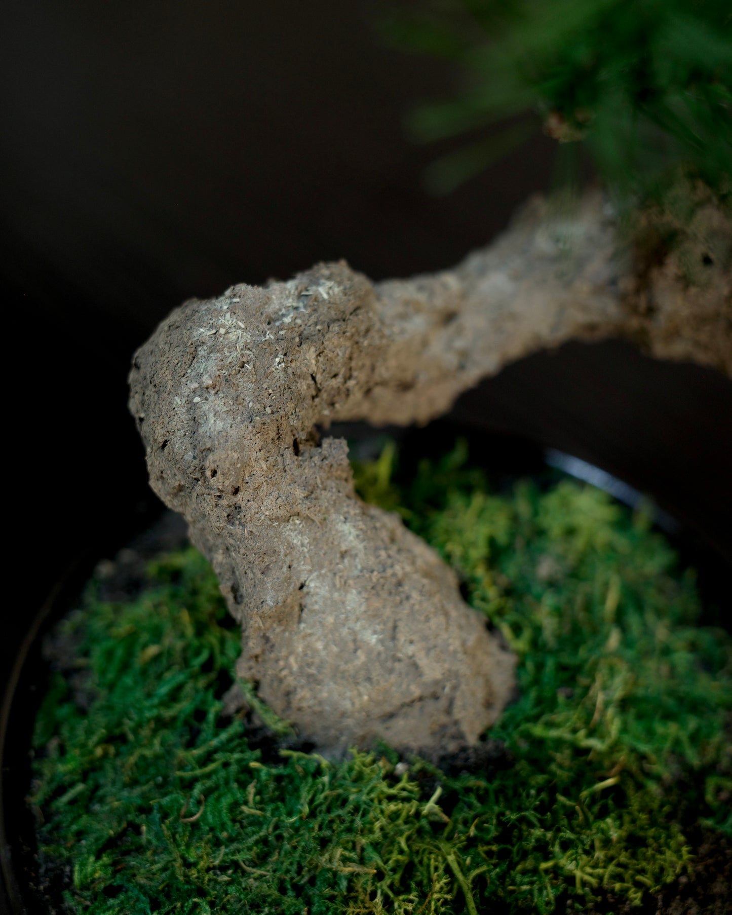 Artificial Moden Bonsai L