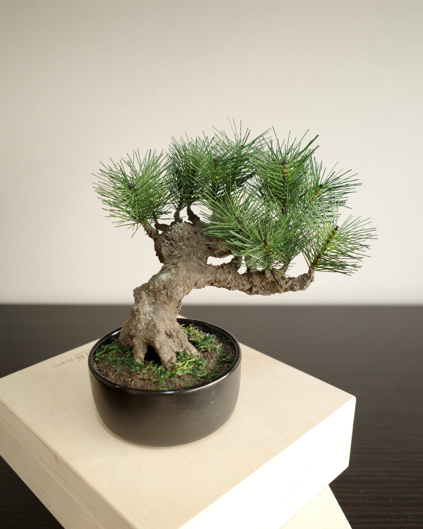 Artificial Moden Bonsai M