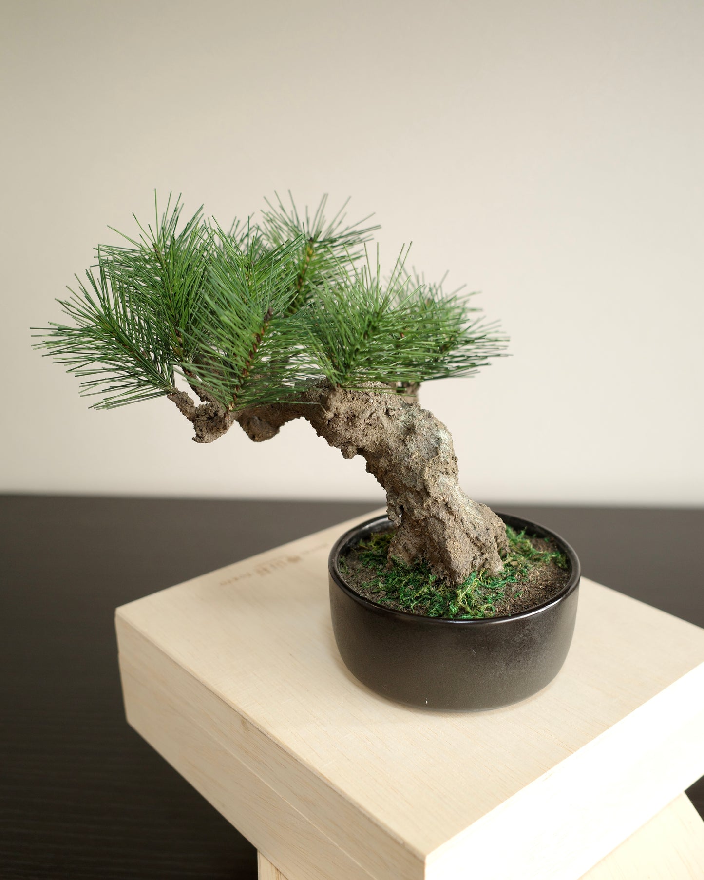 Artificial Moden Bonsai M