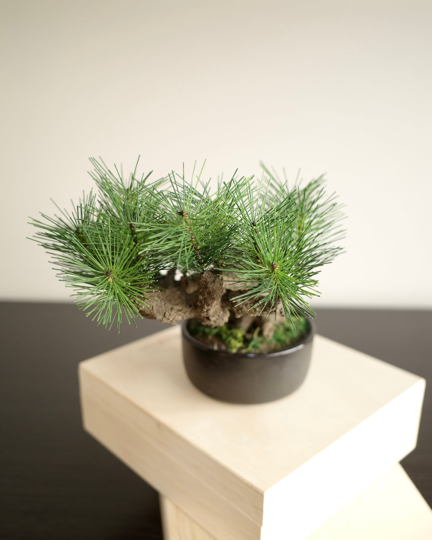 Artificial Moden Bonsai M