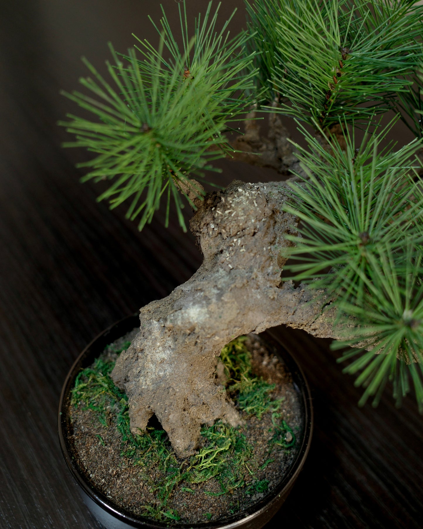 Artificial Moden Bonsai M