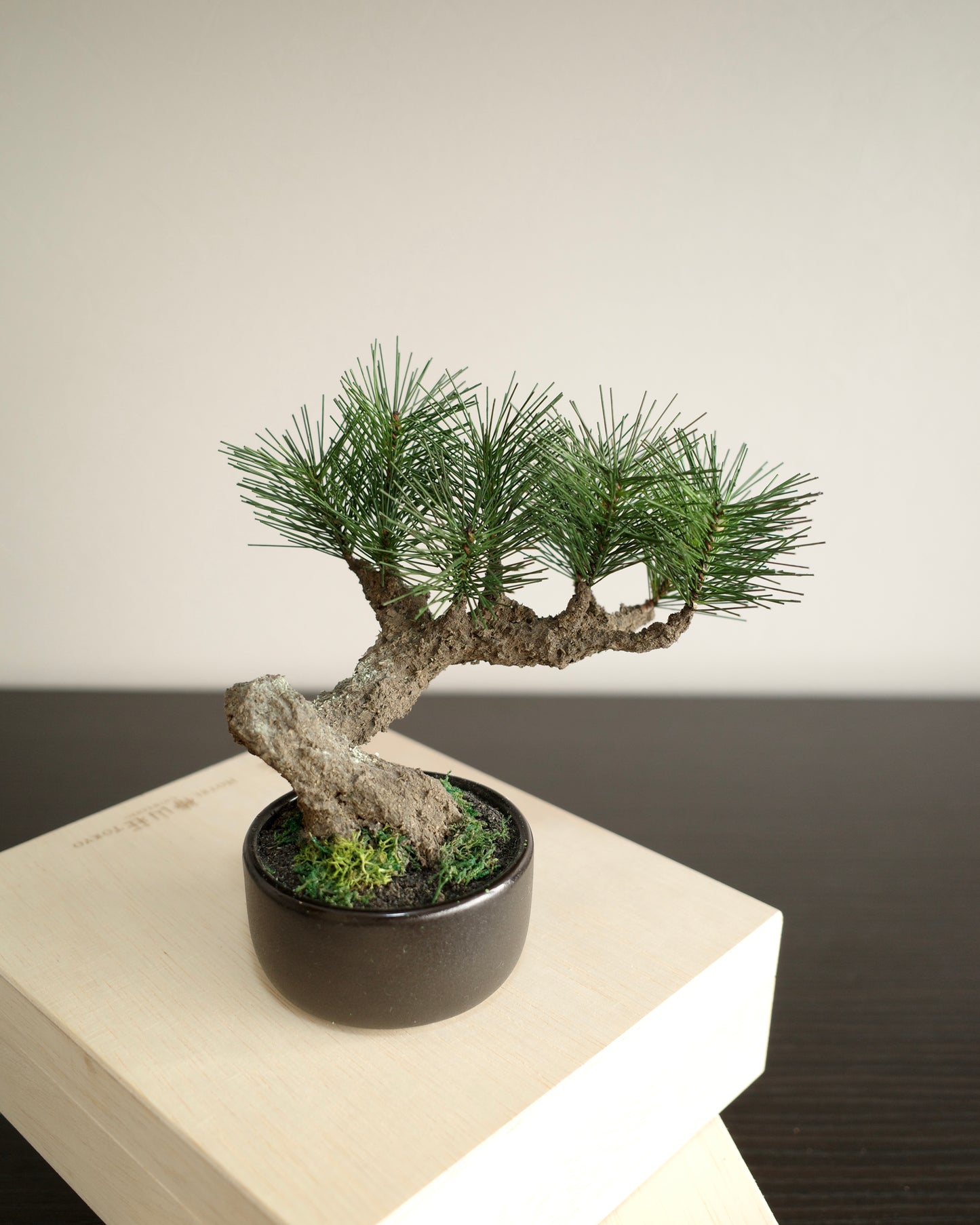 Artificial Moden Bonsai S