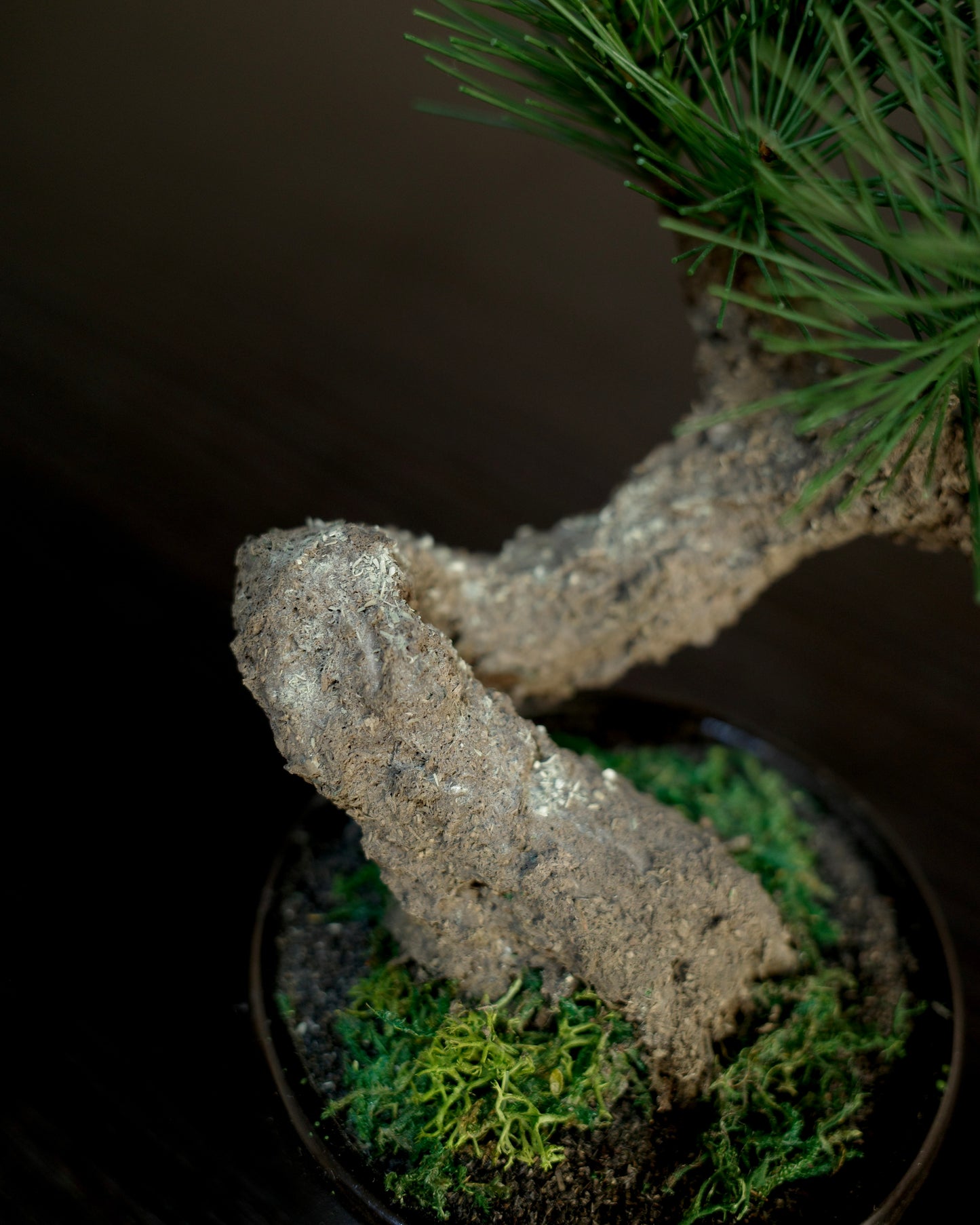 Artificial Moden Bonsai S