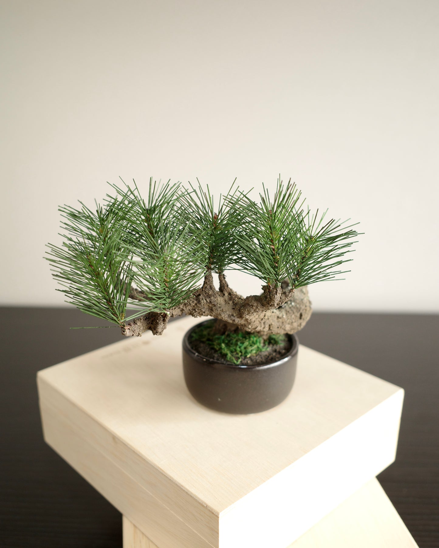 Artificial Moden Bonsai S