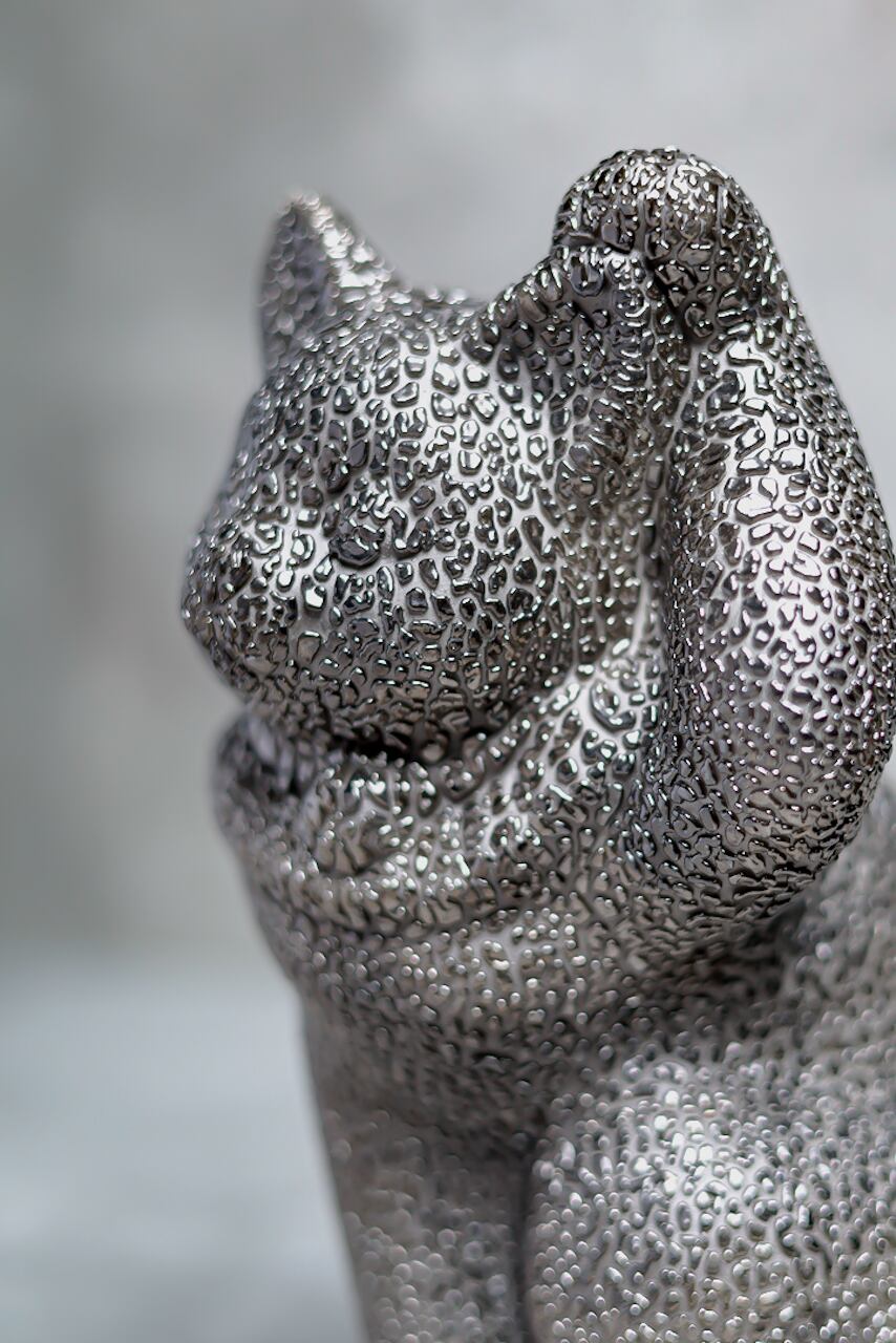 manekineko -jewel platinum-