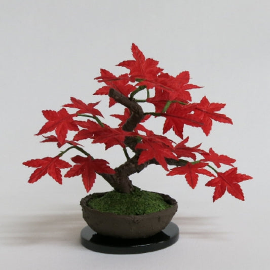 盆栽小鉢　モミジ　紅葉