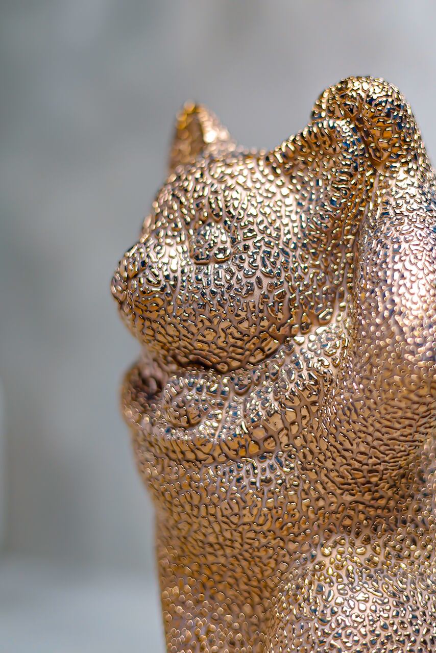 manekineko -jewel gold-