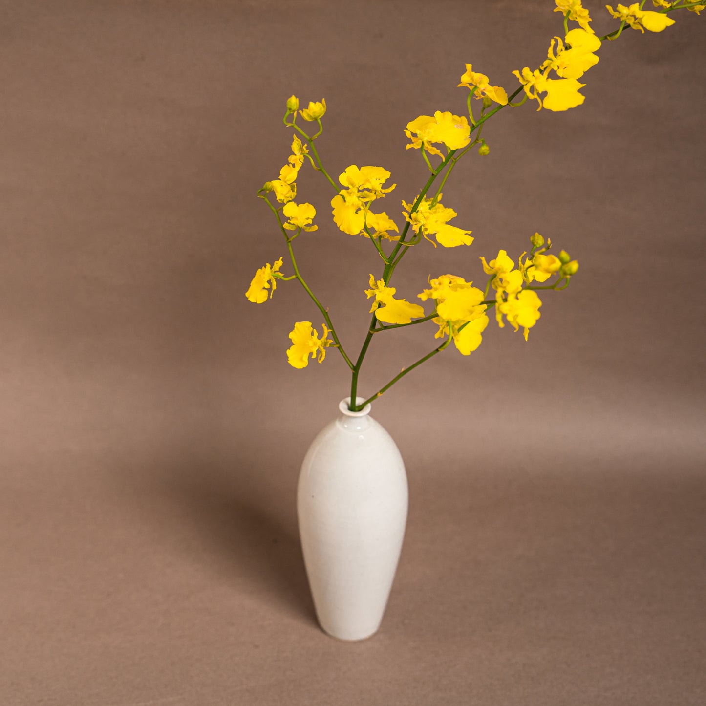 [Koreya Anan] White porcelain ridged vase① (one of a kind) 